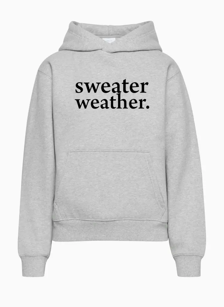 Grey Hoodie Front.png.webp