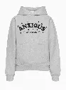 Grey Hoodie Front.webp