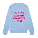Light blue crew neck back.webp