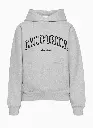 Grey Hoodie Front.webp